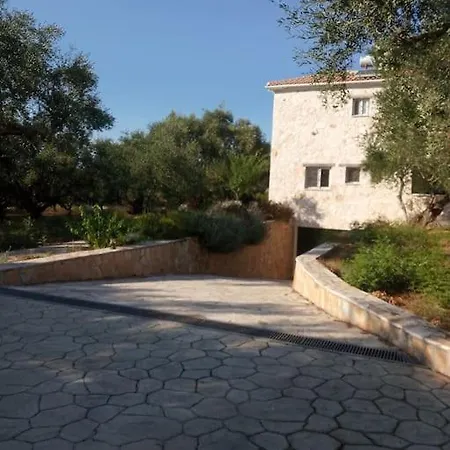 Olive Trees * Tragaki