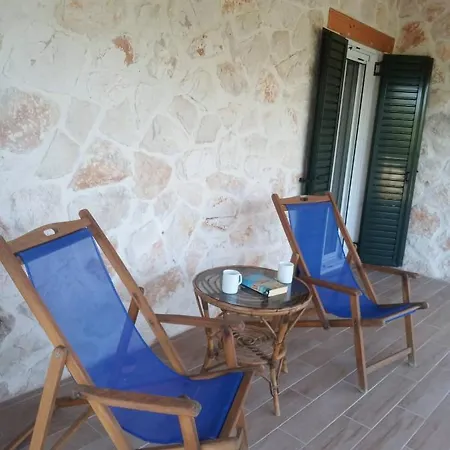 Olive Trees * Tragaki