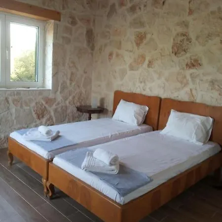 Olive Trees * Tragaki