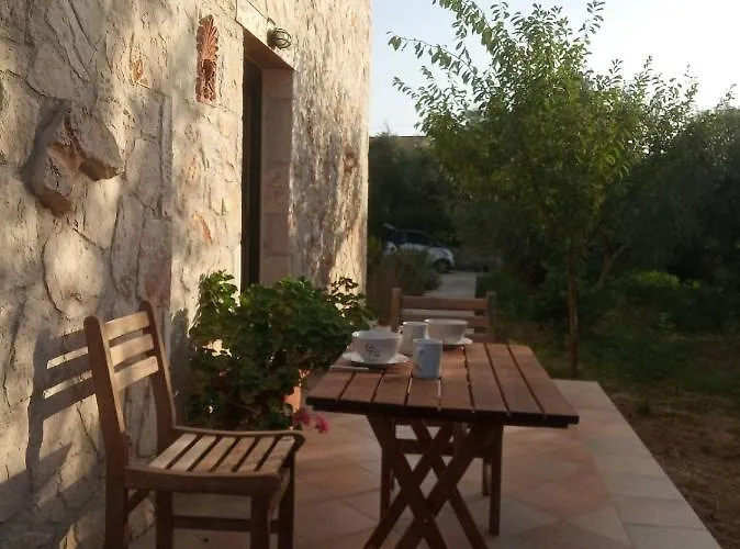 Olive Trees Tragaki