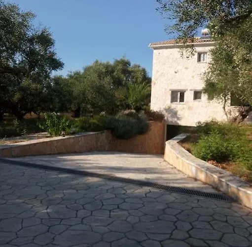 Olive Trees * تراغاكي