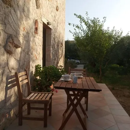 Olive Trees Tragaki