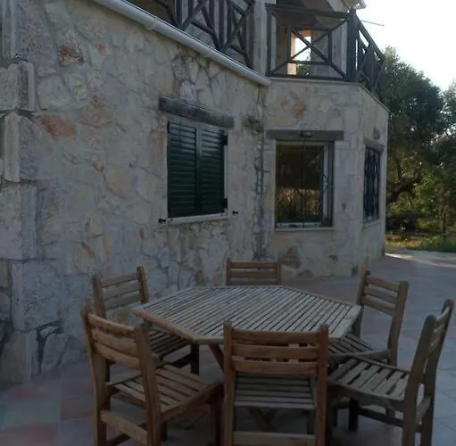 Olive Trees